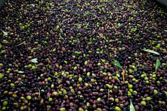 Kleanthi Olive Farm: Guided Tour with Local Delicacies Tasting - The tasting table is the real payoff