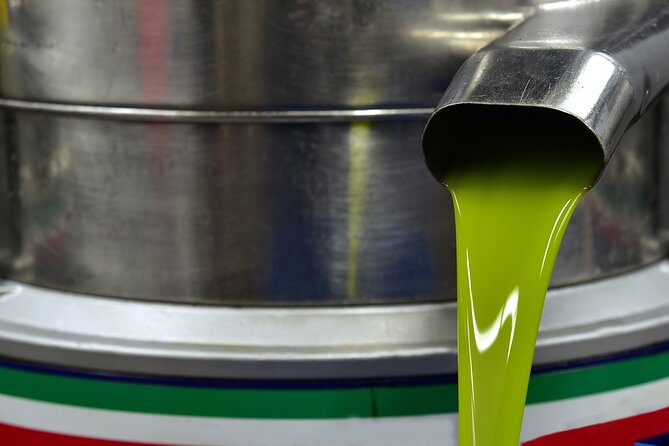 Kleanthi Olive Farm: Guided Tour with Local Delicacies Tasting - Who should book this experience
