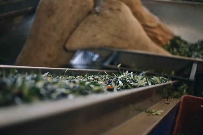 Kleanthi Olive Farm: Guided Tour with Local Delicacies Tasting - Practical details before you go