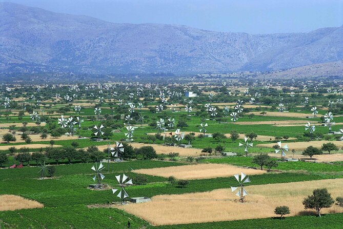 Knossos & lasithi plateau villages,Zeus's cave,&olive oil Mill - Omalia Olive Press and the taste of Crete