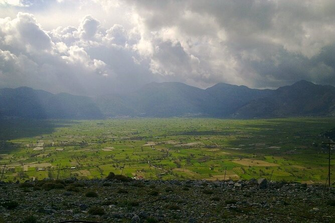 Knossos & Lasithi Plateau: Zeus Cave,Villages, Olive Oil Tour - Olive oil at Omalia Olive Press