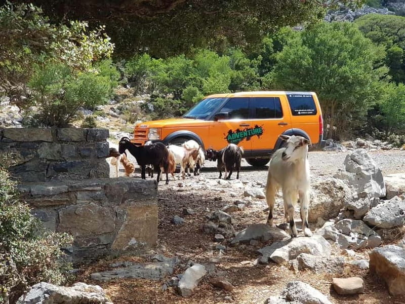 Knossos Palace and Pottery experience. Excursion Safari - Lunch and the social side of the day
