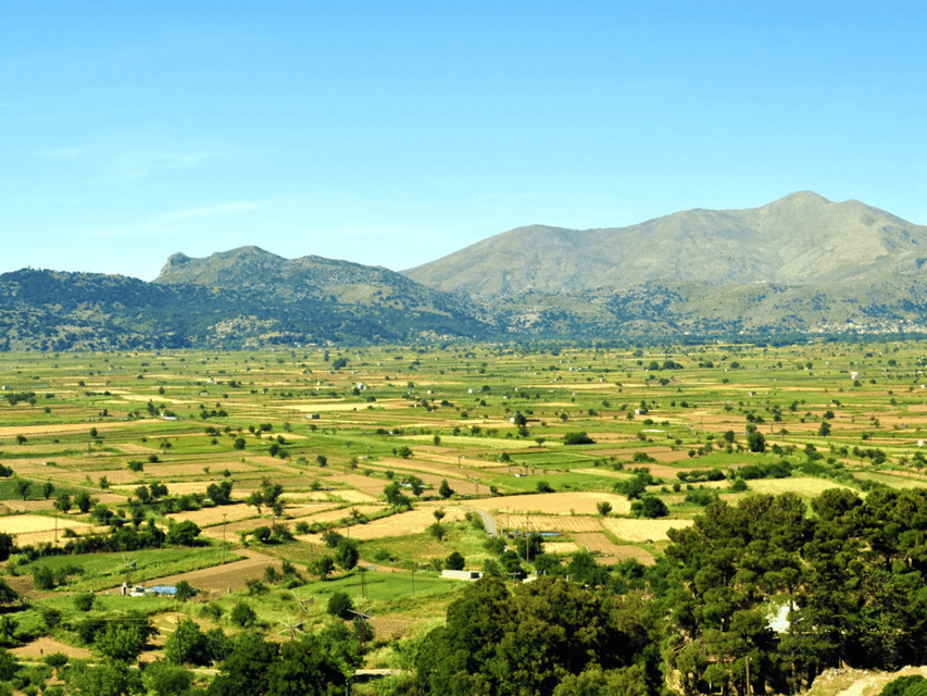 Knossos Palace &/or Zeus Cave + Olive Mill | Local & Private - How the timing works in practice