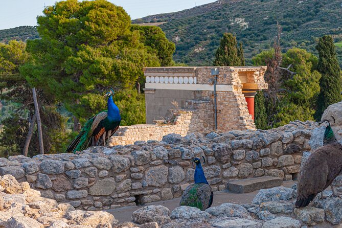 Knossos Palace Private Walking Tour - Thalia’s storytelling and family appeal