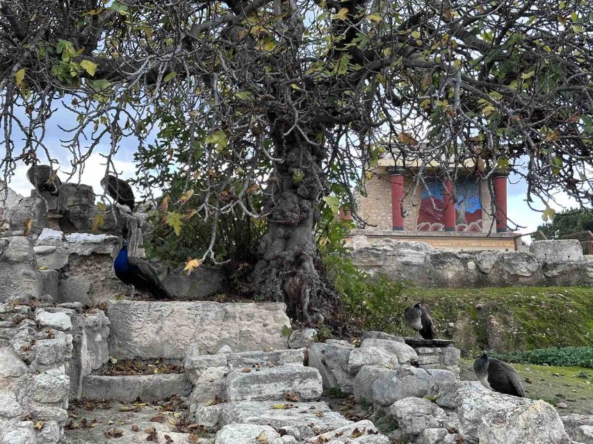 Knossos Palace Skip-the-Line Ticket & Private Guided Tour - The guides and the languages offered