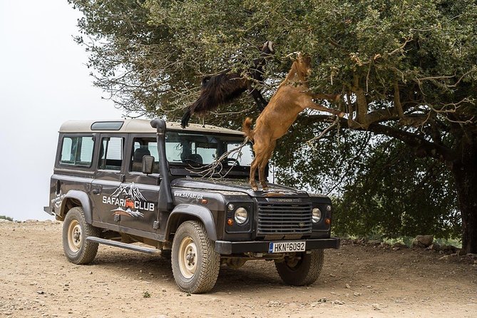 Land Rover Safari Minoan Route with driver and lunch - Key points to know before booking