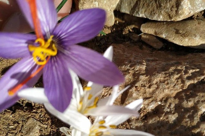 Lasithi –Plateau Traditional Vilages - Katharo Plateau at 1,250 meters