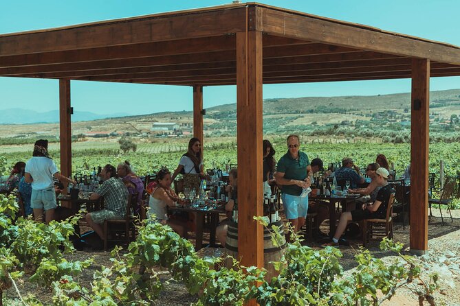 LUXURY PRIVATE Wine Tasting in CRETE (also for CRUISE SHIPS) - Pickup details for Hersonissos, Stalis, Malia, and nearby resorts