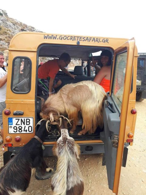 MALIA: East Crete Famous Places (Family and Child Friendly) - What the $103 price really covers