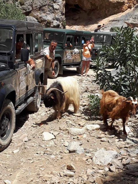 MALIA: East Crete Famous Places (Family and Child Friendly) - Kourounes and the mountain route