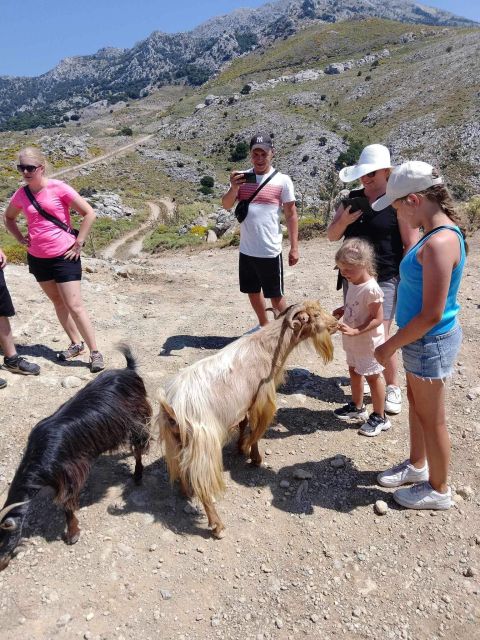 MALIA: Land rover Safari Lasithi Plateau and Zeus Cave - A shepherd’s farm and the making of Cretan cheese