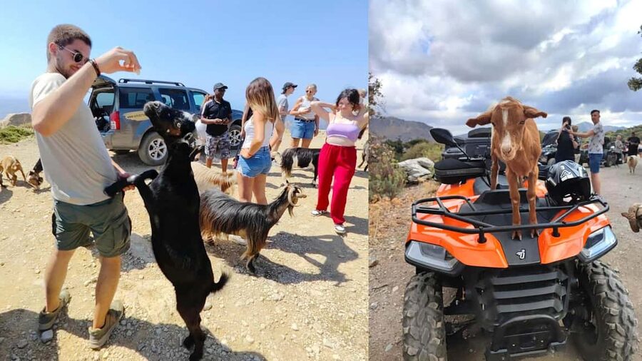 Malia: Off-Road Quad Safari Tour with Lunch and Transfers - Pickup from Malia and the surrounding resorts