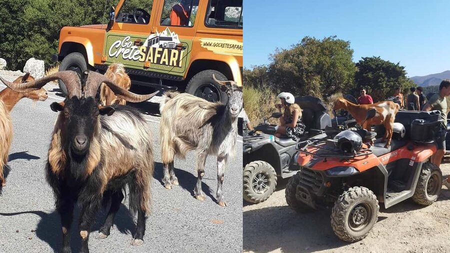 Malia: Off-Road Quad Safari Tour with Lunch and Transfers - Leaving Malia for the olive groves and vineyards