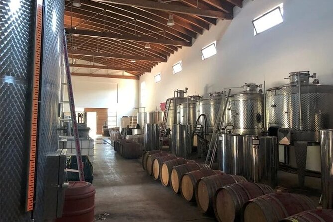 Manousakis Winery Shuttle Service Tour and Taste - Who will enjoy this Chania wine outing?