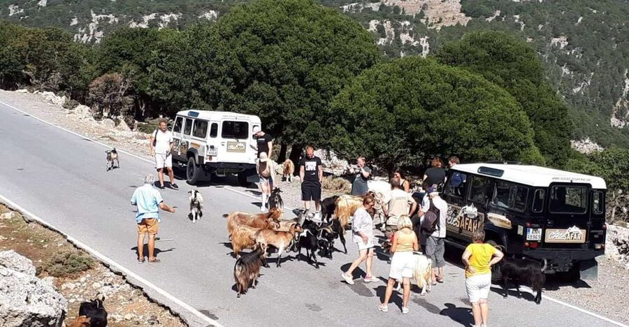 Matala Agiofarago Gorge Guided Jeep Safari Tour - Why this route gives you more than a beach day