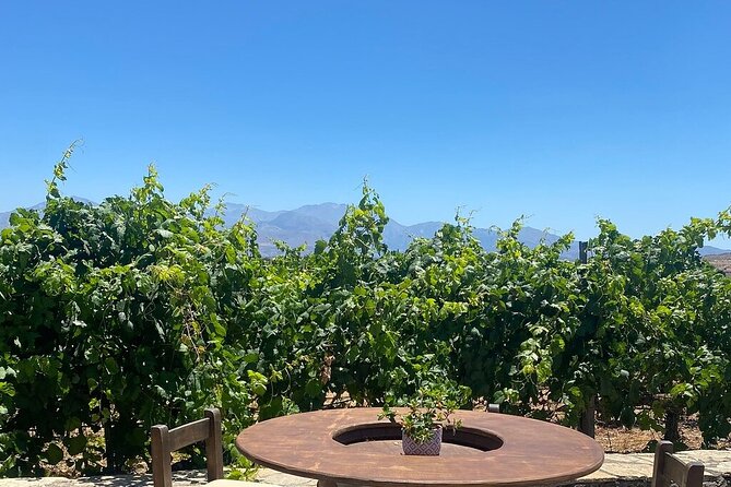 Minoan Crete: Knossos Palace, Winery Visit and Lunch at Archanes - Is $195 a fair price?