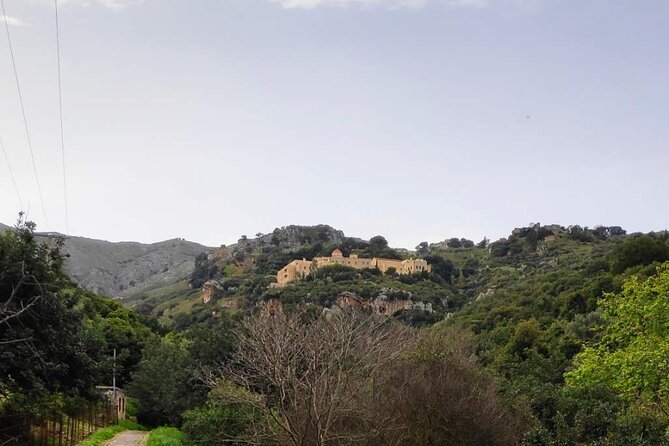 Monastery - Ancient Olive tree & Museum-Cretan Brewery Private Tour from Chania - Who should book this half-day outing