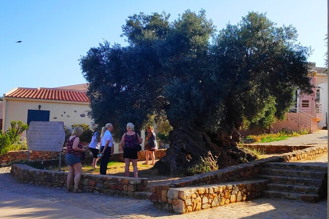 Monastery - Ancient Olive tree & Museum-Cretan Brewery Private Tour from Chania - My final call on the Chania monastery and brewery tour
