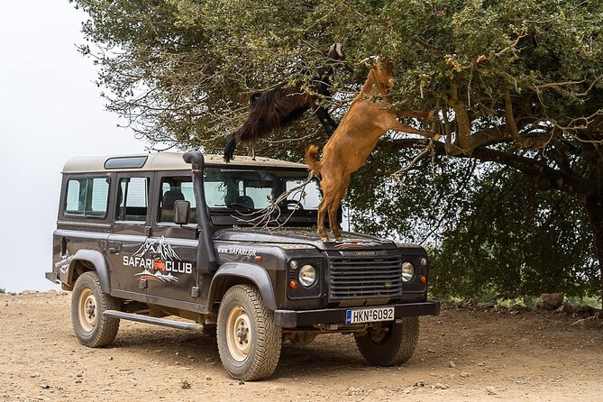 Mountains of Crete 4x4 Tour with Taverna Lunch - Food, wine, raki, and olive oil help justify the price