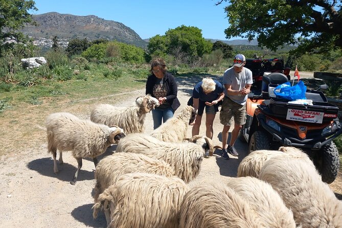 Off-road Buggy Safari in Crete with a Guide - Malia Palace from the outside