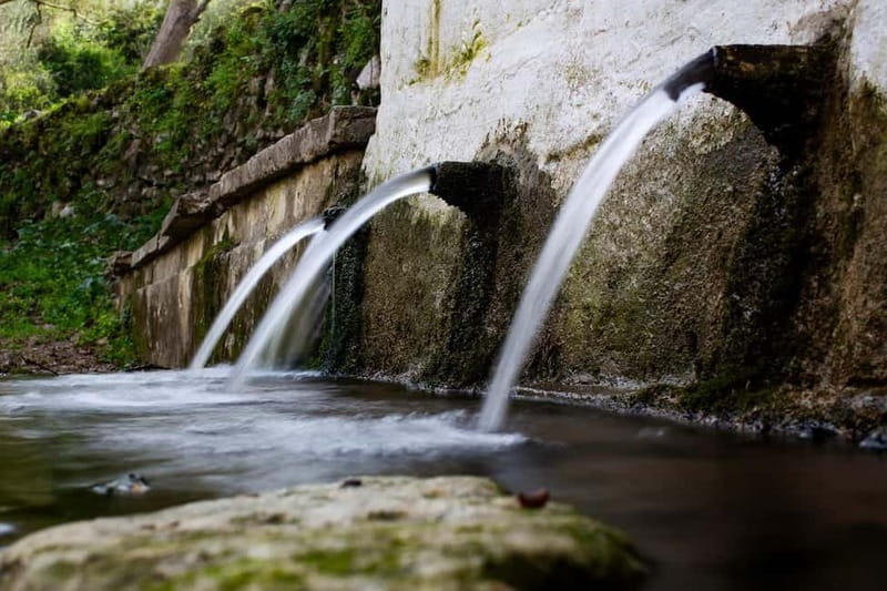 Off-Road: Waterfall, Lake Kournas, Gorges, Preveli Palms - Kournas Village and the Azilakas forest track