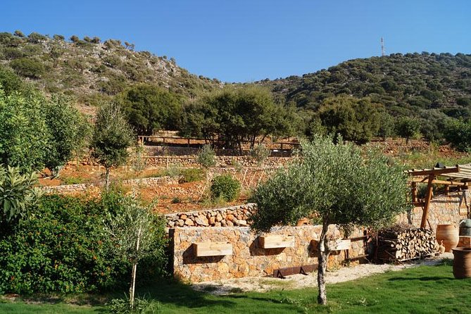 Olive Mill Festival - An evening at the Lyraki family olive mill