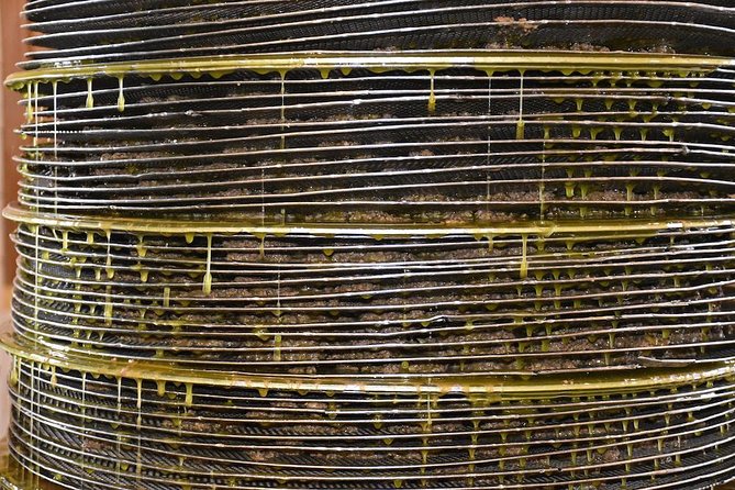 Olive Oil Tasting Tour - Inside the mill: two ways to make olive oil