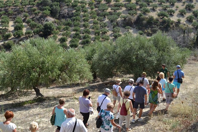 Olive Oil Tasting Tour - Who will get the most from this visit