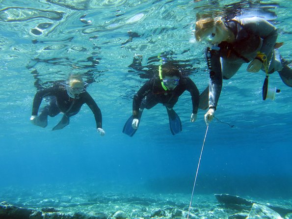 Olous – Guided Snorkelling Excursion to Discover Olous Sunken Ancient City - Key points to know before you book
