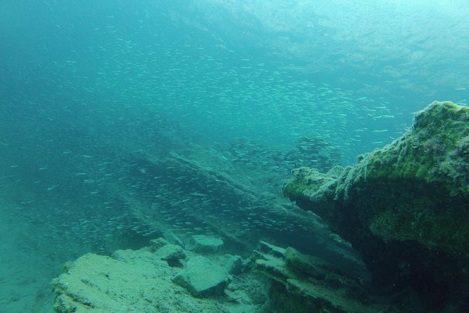 Olous – Guided Snorkelling Excursion to Discover Olous Sunken Ancient City - Getting comfortable with fins, mask, snorkel, and wetsuit