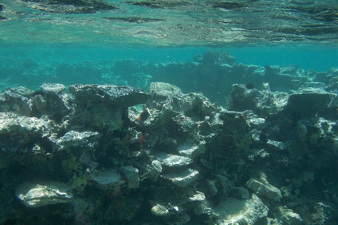 Olous – Guided Snorkelling Excursion to Discover Olous Sunken Ancient City - Following Olous beneath the surface