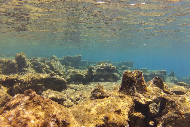 Olous – Guided Snorkelling Excursion to Discover Olous Sunken Ancient City - What the guide adds to the experience