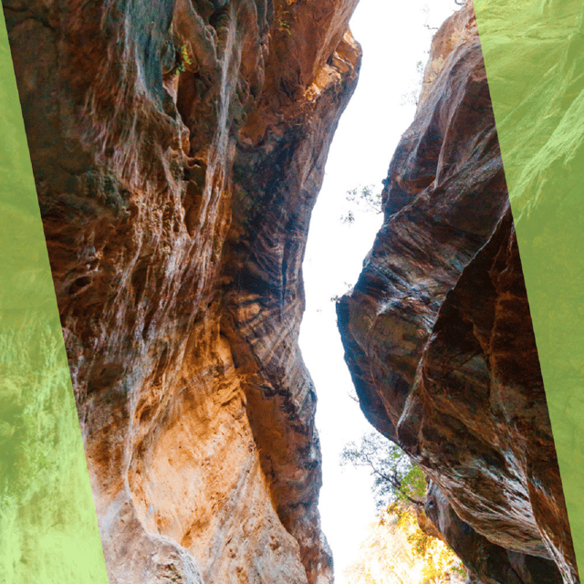 Platanias : Imbros Gorge Superb Hiking Tour - The early road through Vrysses and the olive country