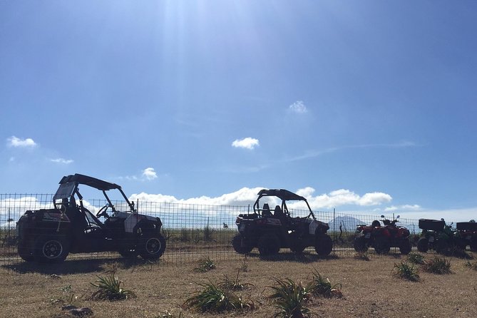 Polaris Buggy 4-Hour Safari from Rethymno Town - Price and what you receive for $204.25