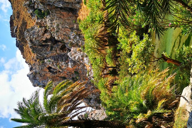 Preveli Beach & Palm Forest :Full-Day Tour with Lunch Box - Why Preveli feels different from a normal beach stop