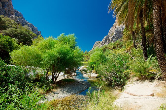 Preveli Beach & Palm Forest :Full-Day Tour with Lunch Box - Who will enjoy this Crete day trip