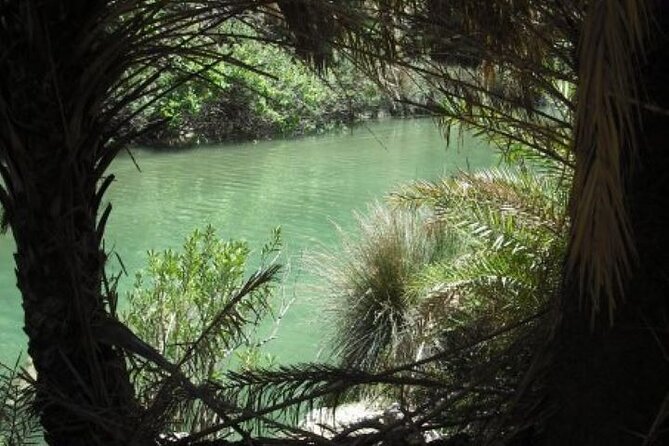 Preveli palm Beach & Damnoni Excursion - Why Preveli Palm Beach is worth the long day