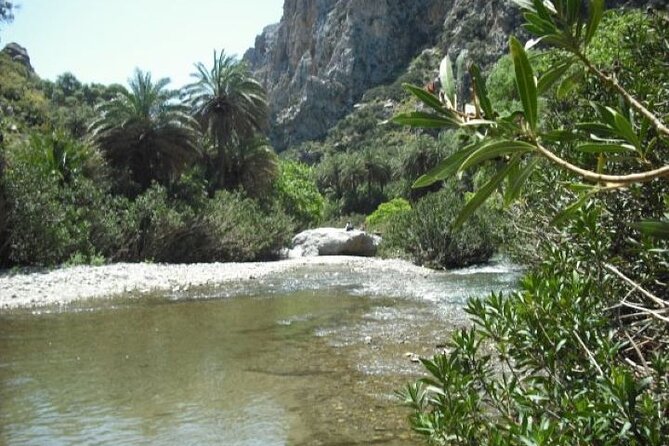 Preveli palm Beach & Damnoni Excursion - What the $36.12 price really covers