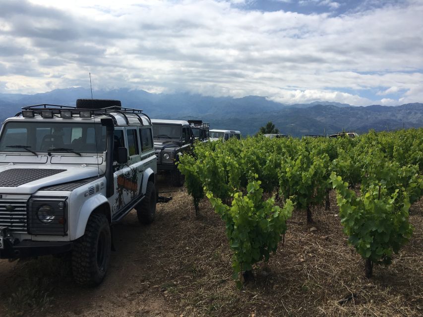 Private Exclusive Manousakis Winery and Vineyard Tour - Key details before you book