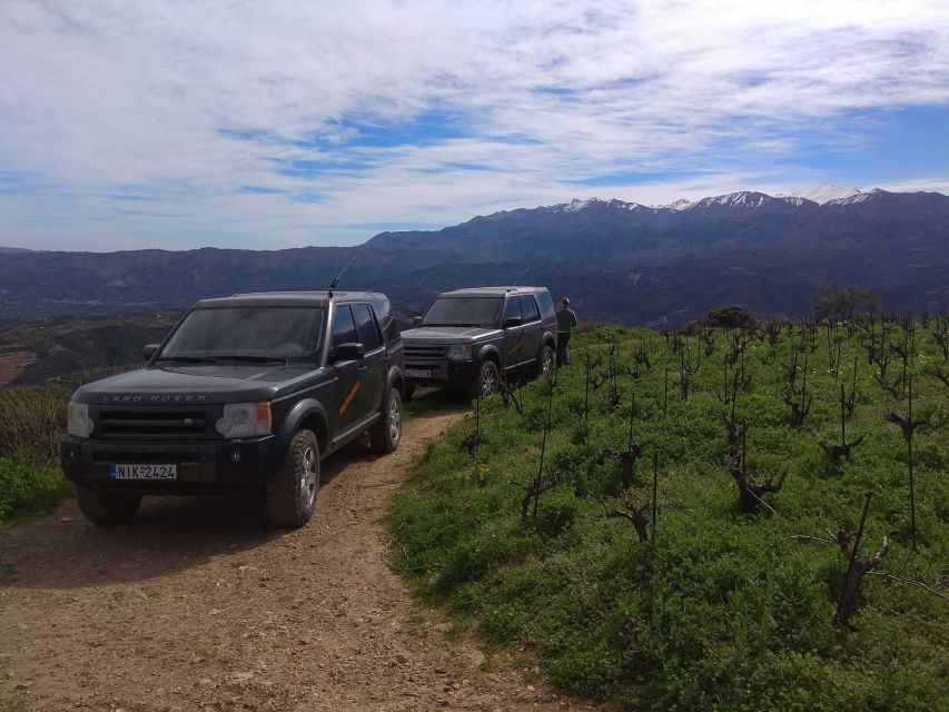 Private Exclusive Manousakis Winery and Vineyard Tour - From Chania to the Vatolakkos Hills