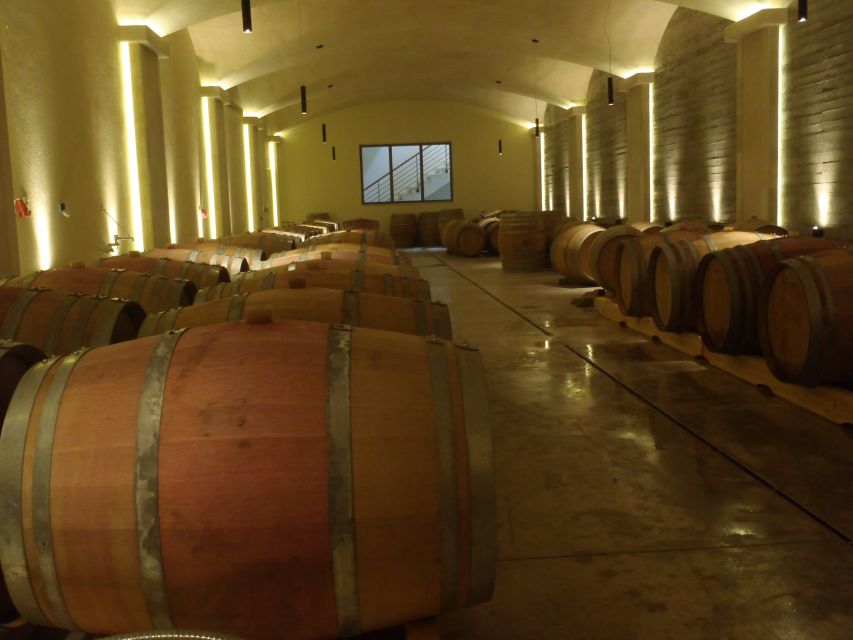 Private Exclusive Manousakis Winery and Vineyard Tour - Two and a half hours at the winery