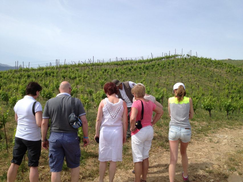 Private Exclusive Manousakis Winery and Vineyard Tour - Returning to Chania by asphalt road