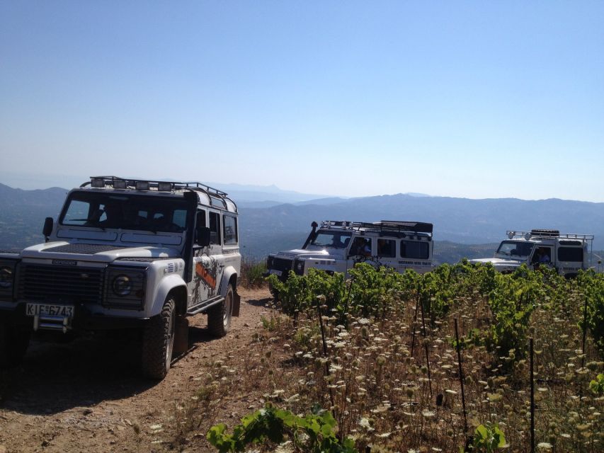 Private Exclusive Manousakis Winery and Vineyard Tour - Who will enjoy this private wine outing?