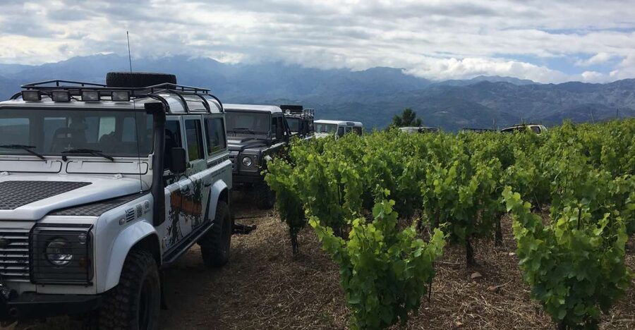 Private Exclusive Manousakis Winery and Vineyard Tour - A quick stop at Valsamioti Dam