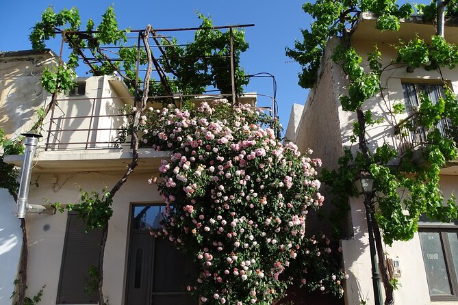 Private Guided Tour to Lasithi Plateau Villages & Olive Oil Mill - Why the Lasithi Plateau makes a good full-day trip