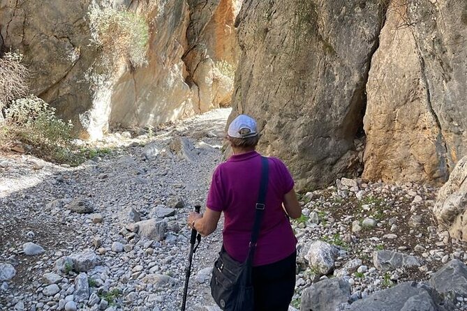 Private Hiking Tour in Imbros Gorge (Chania) - Frangokastelo beach and the fortress stop