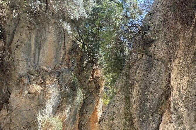 Private Hiking Tour in Imbros Gorge (Chania) - Who gets the most value from this outing?