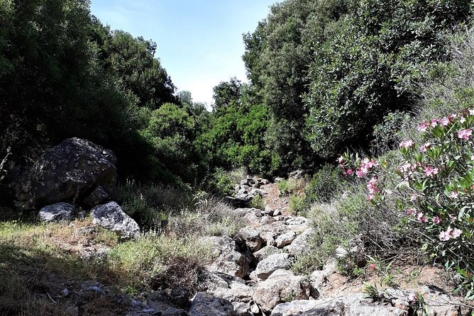 PRIVATE Hiking Walking GORGE nearby Hersonissos CRETE - The 20-minute ride to Aposelemis