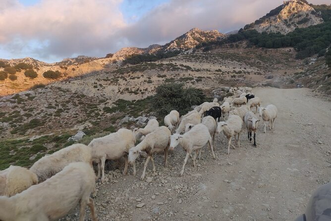 PRIVATE Jeep Safari 4x4 SUNSET (with Dinner) in Mountains CRETE - Why the private setup changes the evening