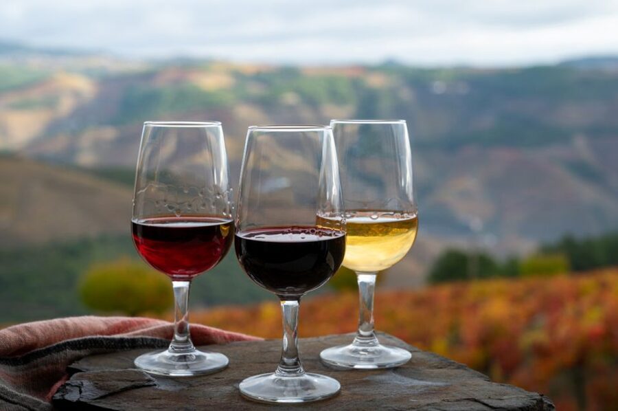 Private Knossos Skip The Line Tour inc. lunch & wine tasting - What the private price gives you